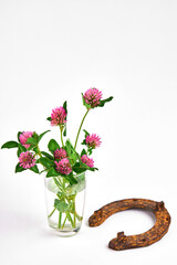 blooming clover flowers and rusty horseshoe over white background. simple luck concept.