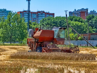 a brick-red combine harvester harvests a wheat field next to high-rise apartment buildings on a hot...