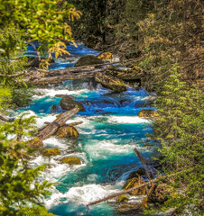 Obraz na płótnie Canvas Rivers running through Oregon Cascades