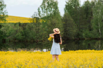 Rear view. Dreaming young woman in a blue dress holding a hat and walking away in a rapeseed field...