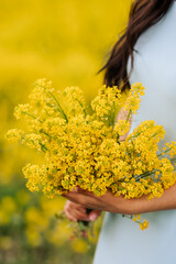 unrecognizable young woman holds in her sleeve a bouquet of wild yellow flowers. in spring or summer in fine weather. wallpaper. concept of unity with nature