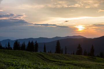 Sunset in the mountains. The evening rays break through the spruce trees. Carpathians, Marmaroshchyna, Maramures, Ukraine