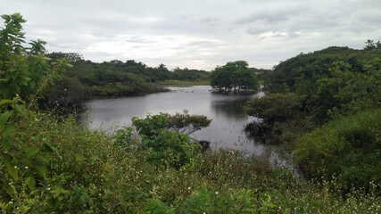 Fototapeta premium lake in the forest