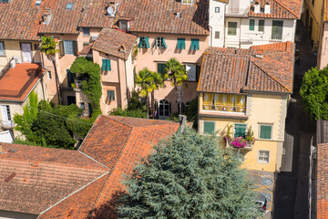 Lucca, Italy - August 14, 2019: Panoramic view of Lucca from Guinigi Tower balcony with oak trees,...