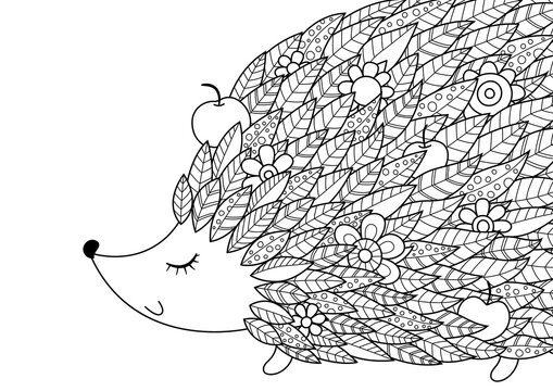 Hedgehog doodle coloring book page. Antistress for adult, zentangle style.