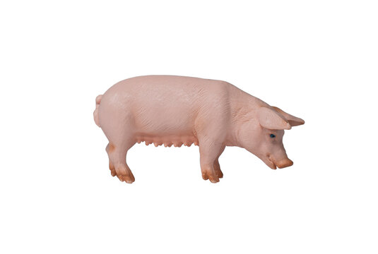Plastic pig toy figure - isolated