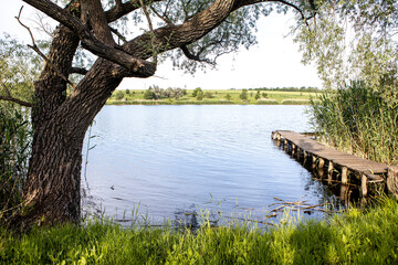 wood flooring in the pond. Beautiful lake in summer