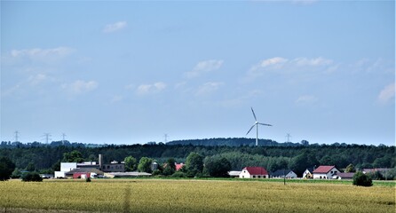 Widok na miasto  © merko
