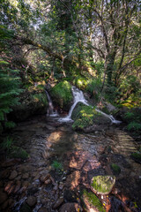 linda cachoeira natural na floresta