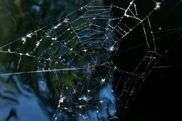 Easy web closeup on the defocused background of water