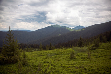 Landscape view of summer Alpine meadows of the high mountains
