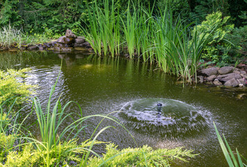 Umbrella Fountain on the green surface of the pond in the old shady garden. Freshness of water jets creates a mood of relaxation and happiness.