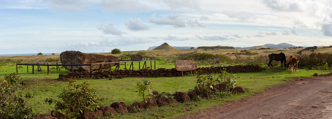 Easter Island landscape. Te Ara o te Moai near Ranu Raraku