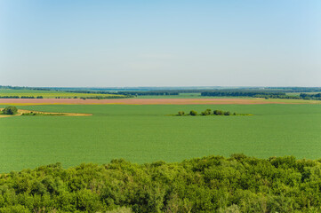 beautiful view of planted fields and forests