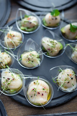 Raw Scallop and Avocado Appetizer, Crudo or Sashimi