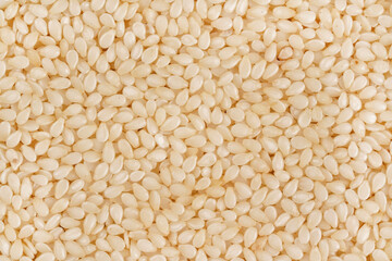 White sesame - Sesamum indicum - seeds closeup view from above