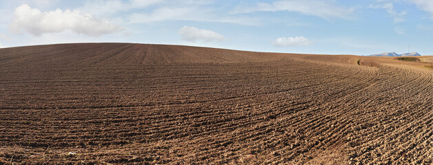 Regular ridge and furrow lines on empty field prepared in autumn, high resolution wide panorama with blue sky and clouds above, agriculture soil cultivation concept - Powered by Adobe