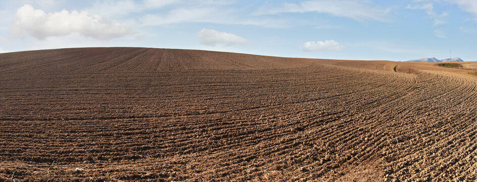 Regular ridge and furrow lines on empty field prepared in autumn, high resolution wide panorama with blue sky and clouds above, agriculture soil cultivation concept