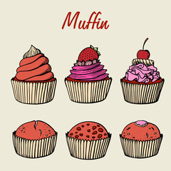 Cupcake collection with different flavors