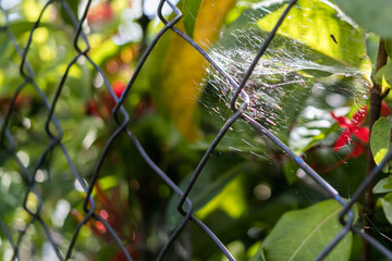 Sometimes you feel like if  you were in a cage. It is time for you to enjoy life