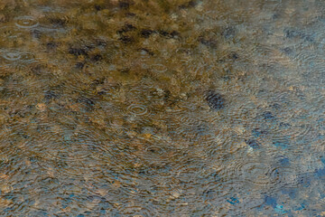 autumn rain drops on water surface moody wallpaper background photography concept