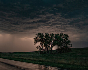 Lighting storm hides behind a grove of trees on the Great Plains