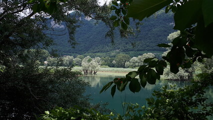 Italy, Bergamo, Adda river, reflection of trees in the lake