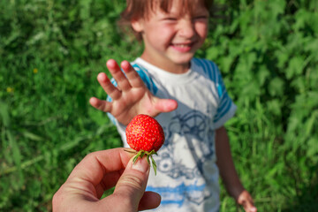Mother's hand giving ripe red fresh strawberry to her happy child outdoors in garden. Summer vacation in the countryside, village, farm concept. Healthy childhood