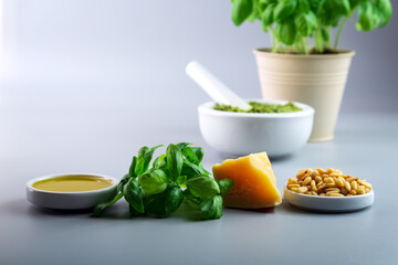 IIngredients for homemade basil sauce pesto. Fresh basil, parmesan, nuts. Copy space. Selective...