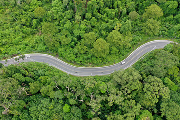 Scenic road through forest with traffic driving. Aerial drone view of route through rainforest jungle 