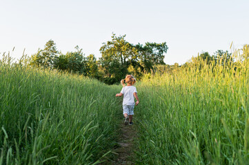 Naklejka na ściany i meble A little girl walks through a field in the village. The concept of moving forward into the future.