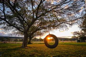 Dark and moody image of tyre swing hanging from tree at sunset