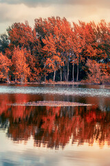 Vibrant trees and lake at autumn time