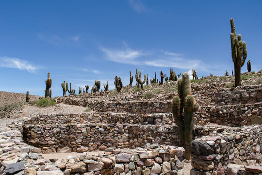 Construcciones de piedra y cardones del sitio arqueologico "Pucará de Tilcara"