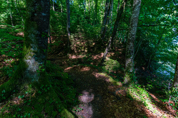 Obraz premium Premium hiking trail Seegang on Lake Constance