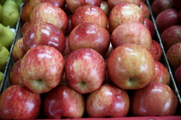 Fotos: Rogério Marques