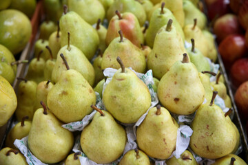 Fotos: Rogério Marques