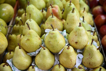 Fotos: Rogério Marques