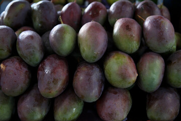 Fotos: Rogério Marques