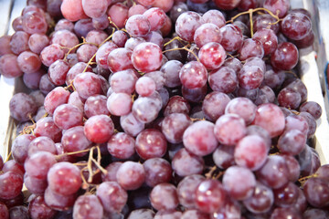 Fotos: Rogério Marques