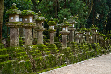 Stone lanterns are lined up in the driveways leading to the Kasuga shinto shrine in Nara, Japan