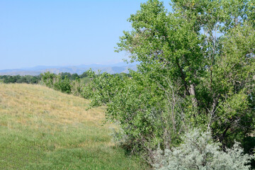 Fototapeta na wymiar Front Range landscape looking towards Rocky Mountains from Lake Standley Regional Wildlife Refuge in Westminster Colorado