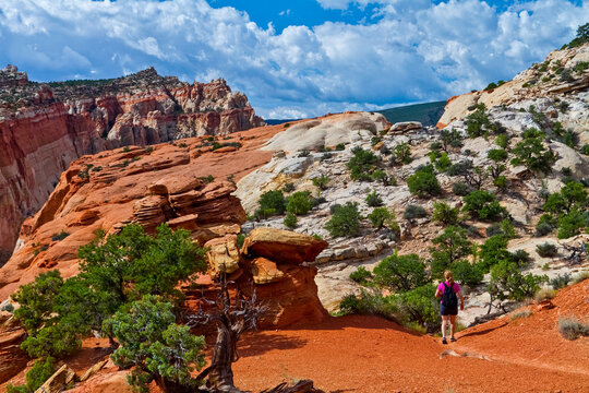 Female Hikers on the Slick Rock of The Waterpocket Fold Near Cassidy Arch, Capitol Reef National Park. Utah, USA