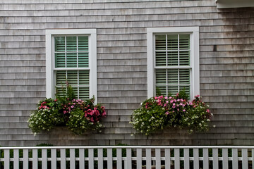 Fototapeta na wymiar Flower Filled Window Boxes,Edgartown, Martha's Vineyard,Massachusetts, USA