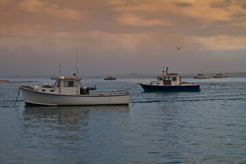 Small Fishing Boats Moored in Aunt Lydia's Cove, Chatham, Massachusetts, USA
