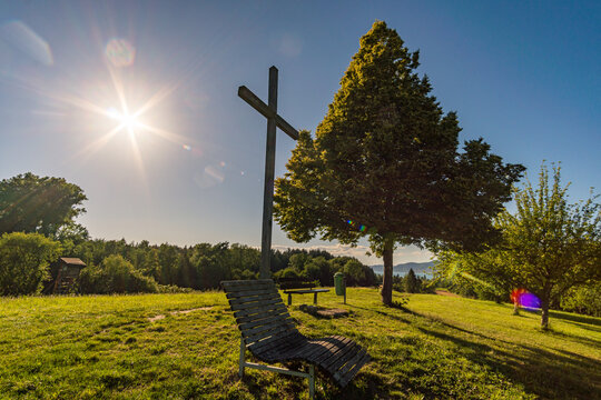Premium hiking trail Seegang on Lake Constance