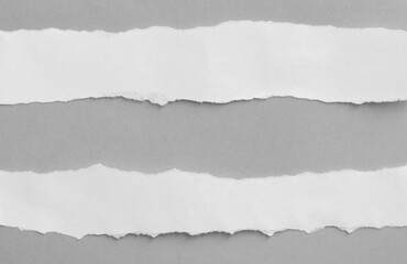 Ripped paper on gray background, space for advertising copy.
