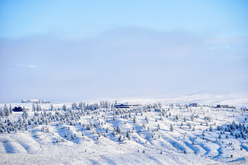 Fototapeta na wymiar Winter Landscape 