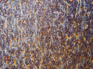 core tin steel 