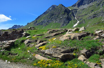 Fototapeta na wymiar The alpine scenic landscapes of mountains, meadows and flowers at Dondena, Aosta Valley, Italy in the natural reserve of Mount Avic.